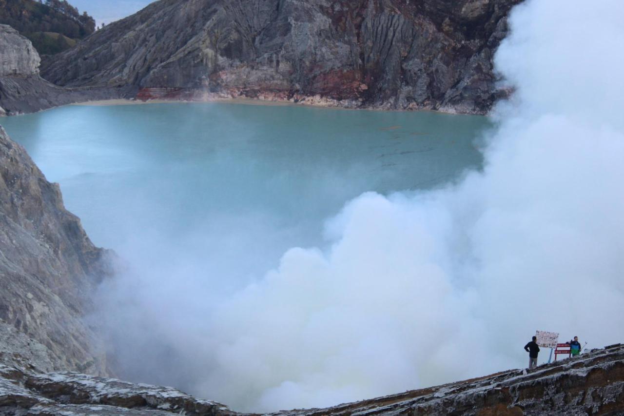 Hostel Backpacker Kawah Ijen Banyuwangi  Zewnętrze zdjęcie