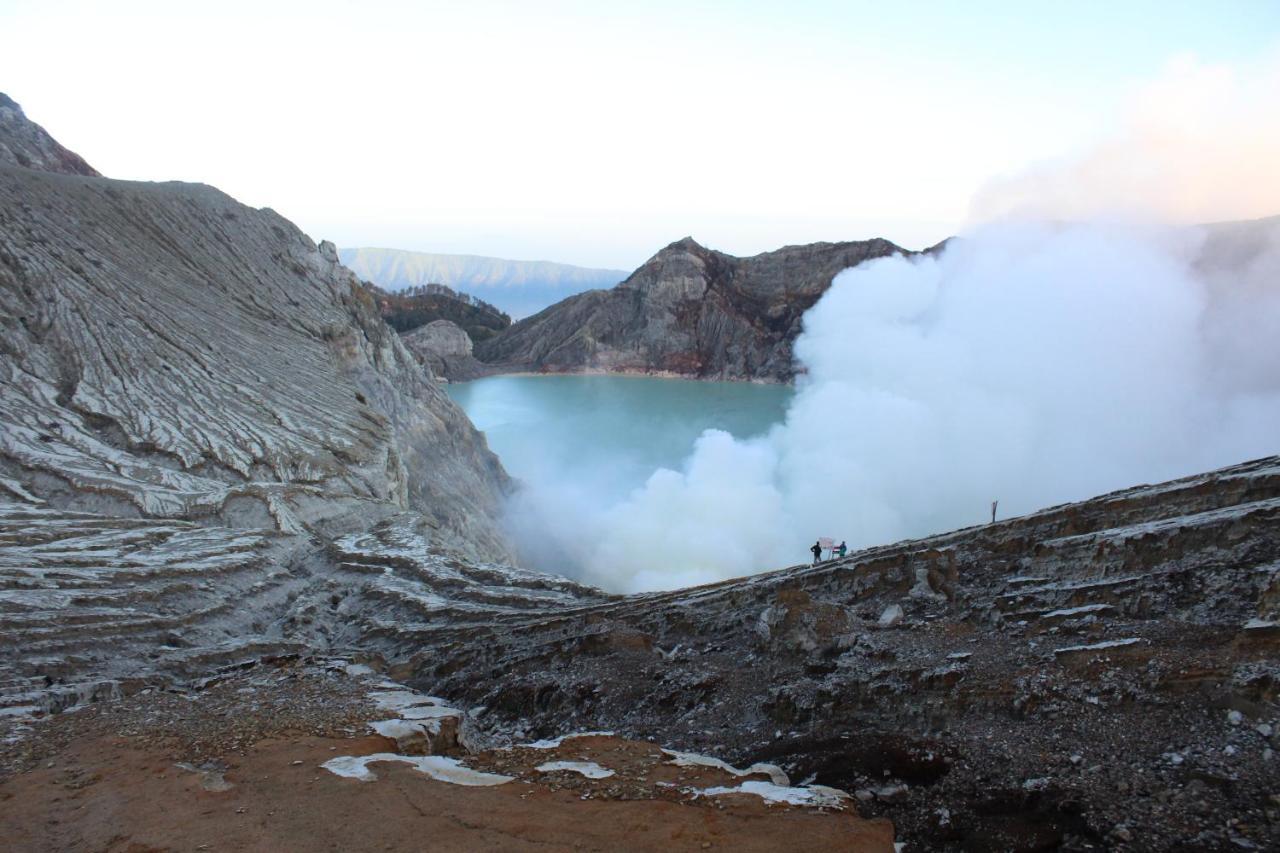 Hostel Backpacker Kawah Ijen Banyuwangi  Zewnętrze zdjęcie